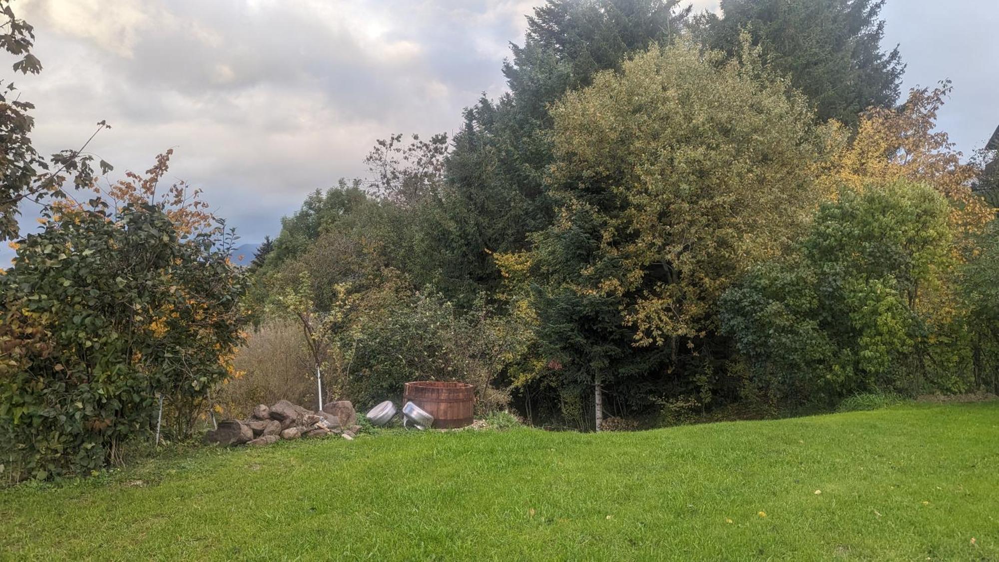Domaine De La Griffe - Chambres D'Hotes "Roche Parnal" La Roche-sur-Foron Esterno foto